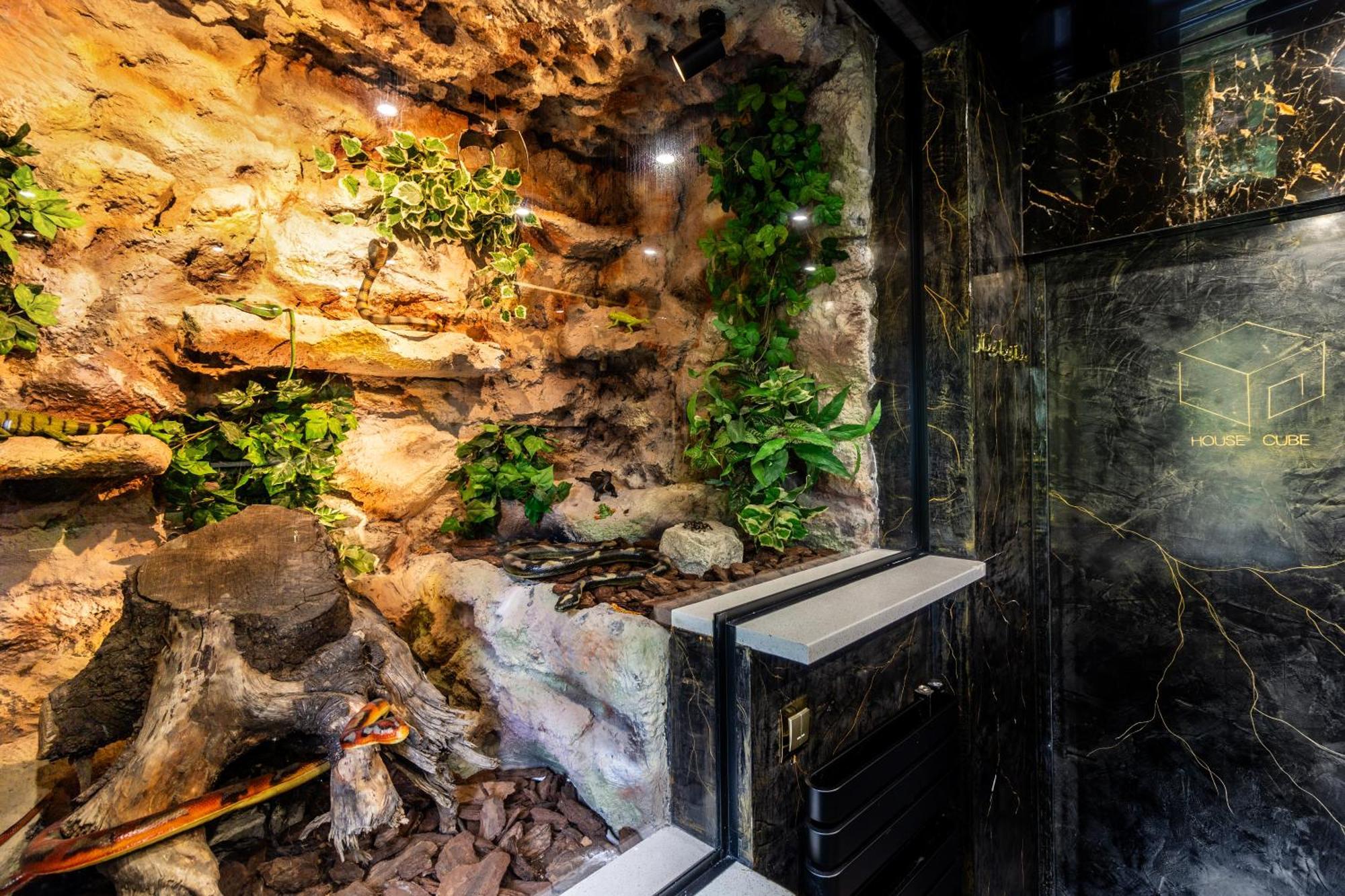 브로츠와프 Housecube, Bar , Prywatne Kino, Bilard , Luxus 빌라 외부 사진